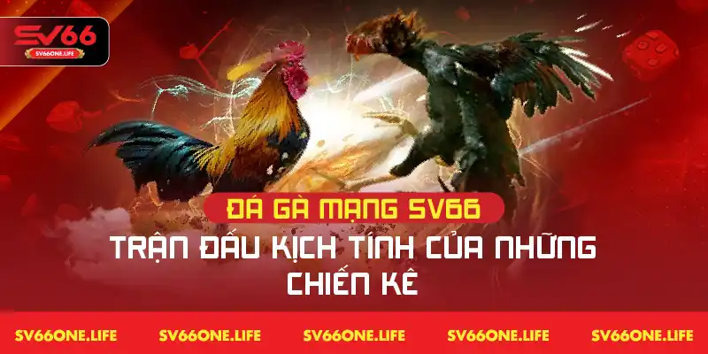 “Đá Gà Mạng SV66 – Trận chiến gay cấn của các chiến kê hàng đầu