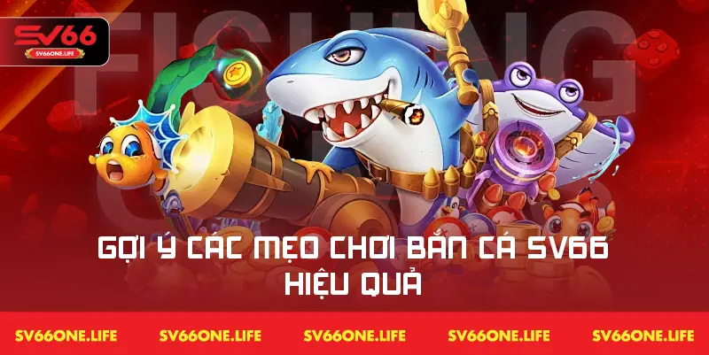 Tổng hợp các mẹo săn cá siêu hiệu quả tại SV66